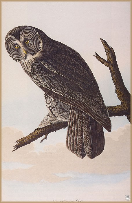 , John James Audubon