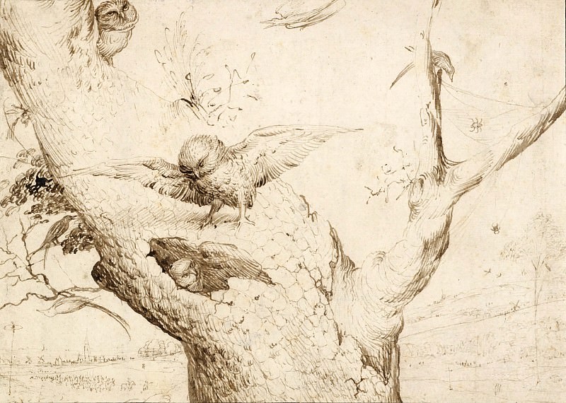 The Owl s Nest, Hieronymus Bosch