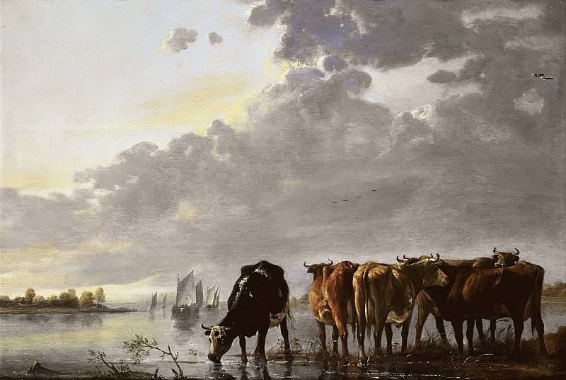cows, Aelbert Cuyp