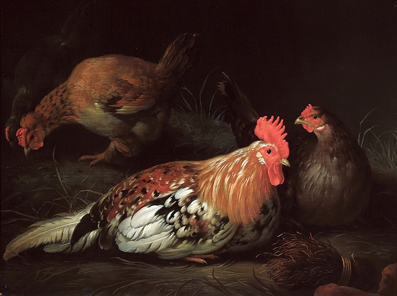 Rooster and hens, Aelbert Cuyp