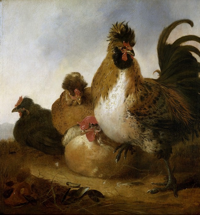 Rooster And Hens, Aelbert Cuyp