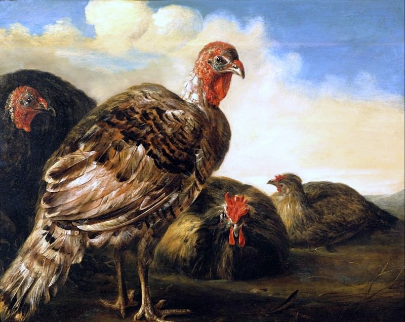 Domestic Fowl, Aelbert Cuyp