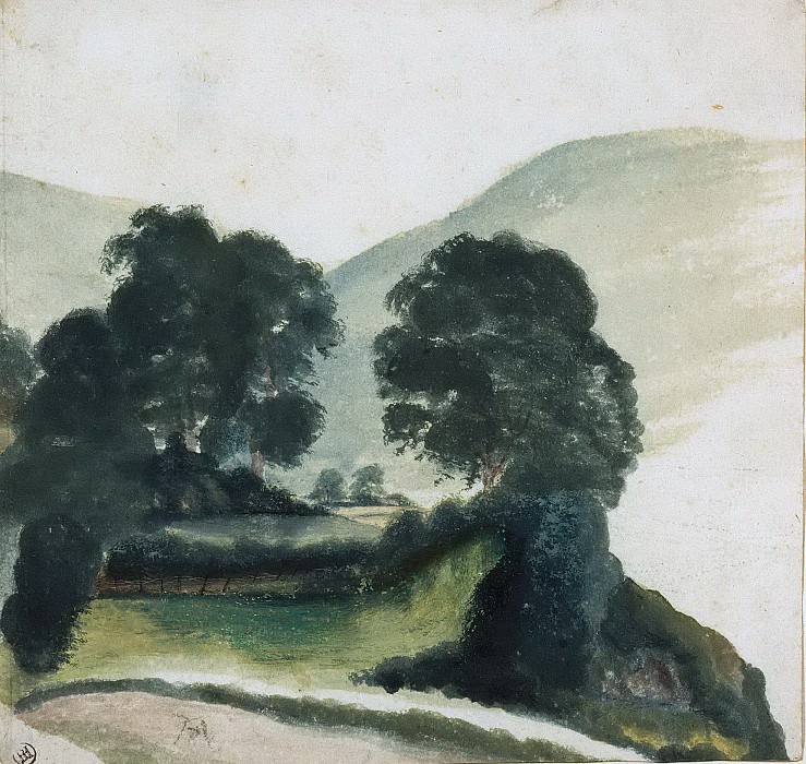Group of Trees with Path in the Mountains
