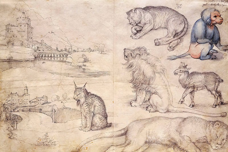 Sketches of Animals and Landscapes, Albrecht Dürer