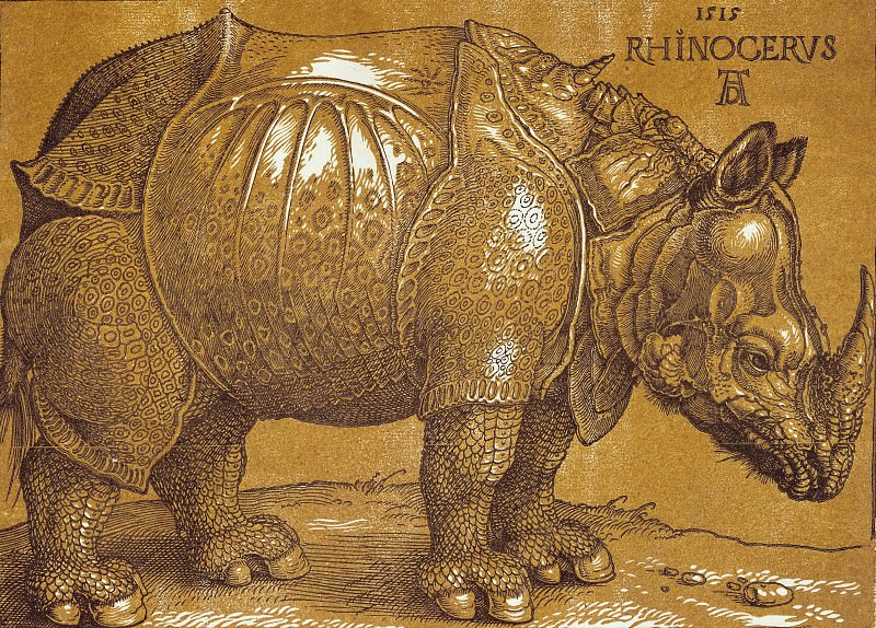 Rhinoceros, Albrecht Dürer