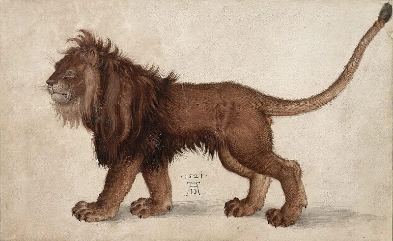 Lion, Albrecht Dürer