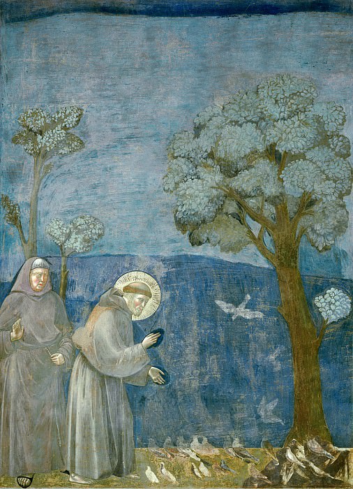 Сцены из жизни святого Франциска: 15 Проповедь птицам , Джотто ди Бондоне