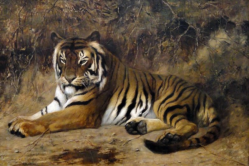 Tiger, Jean-Léon Gérôme