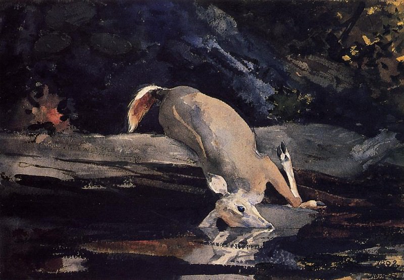 Fallen Deer, Winslow Homer