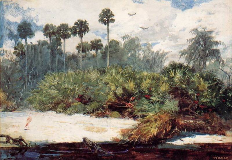 In a Florida Jungle, Winslow Homer