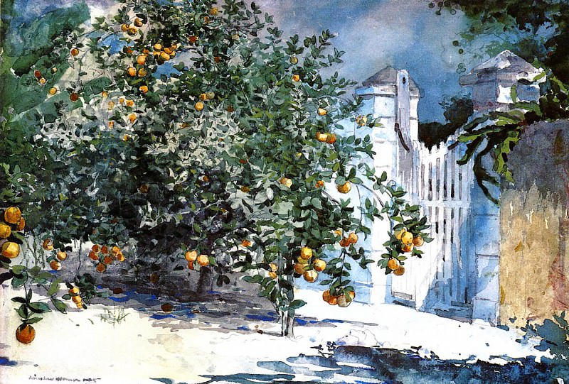 Апельсиновое дерево в Нассау или Апельсиновые деревья и калитка, Уинслоу Хомер