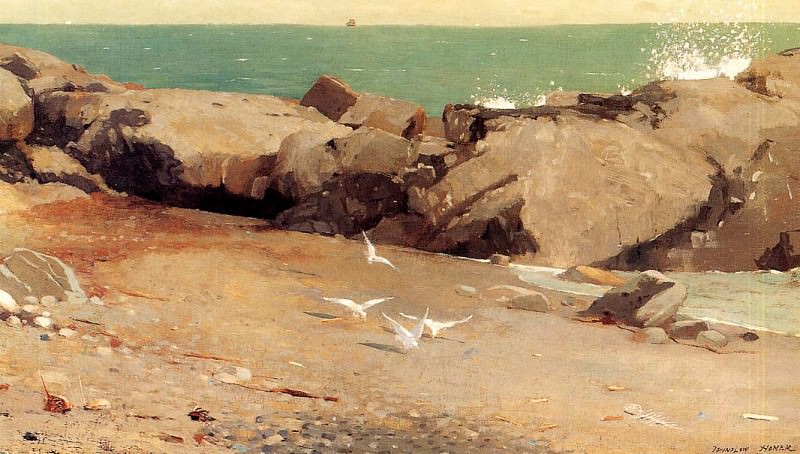 Rocky Coast and Gulls, Winslow Homer