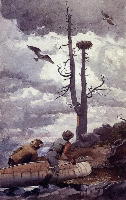 Osprey-s Nest, Winslow Homer