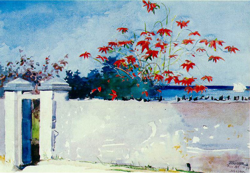 A wall, Nassau, Winslow Homer
