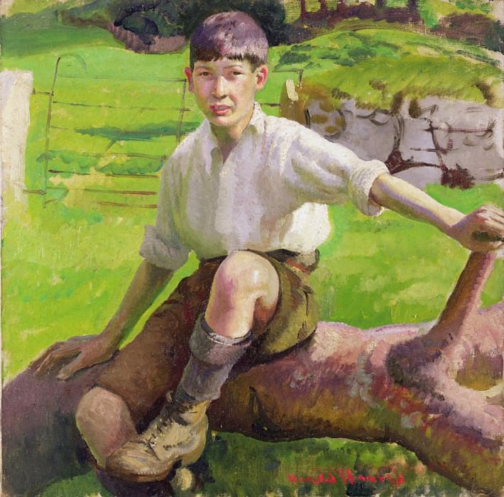 A Cornish Boy, Harold Harvey