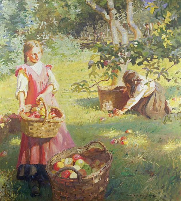 Apples, Harold Harvey