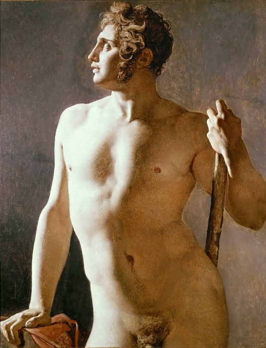 Male Torso, Jean Auguste Dominique Ingres