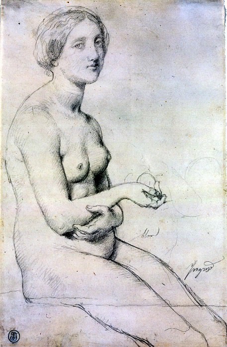 Ingres_Study_for_-Venus_a_Paphos-, Jean Auguste Dominique Ingres
