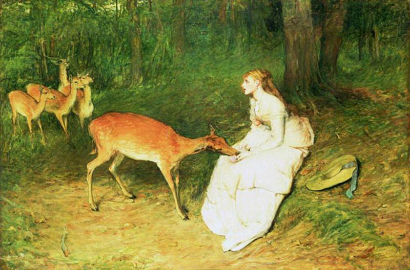 The Forest Pet