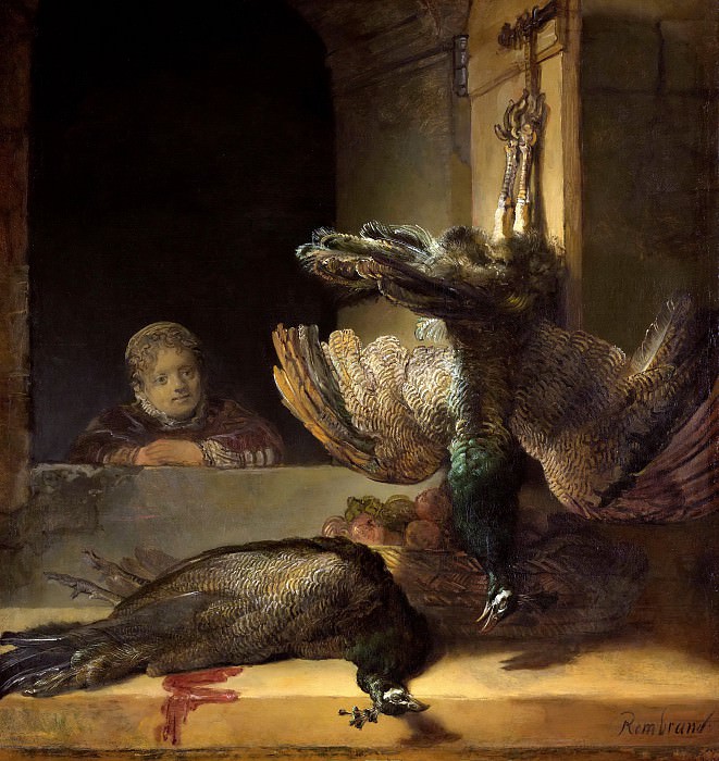 Stilleven met pauwen, Rembrandt Harmenszoon Van Rijn