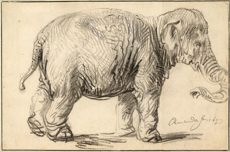 An Elephant, Rembrandt Harmenszoon Van Rijn
