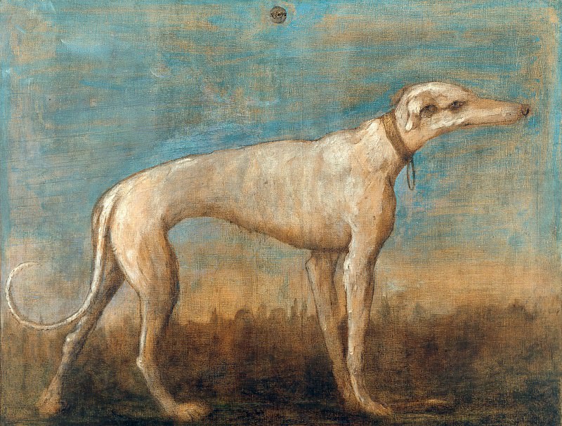 Greyhound, Giovanni Battista Tiepolo