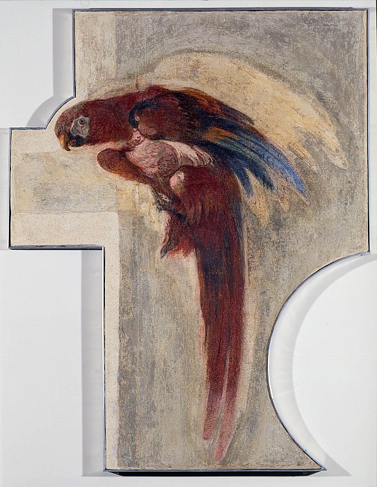 Parrot, Giovanni Battista Tiepolo