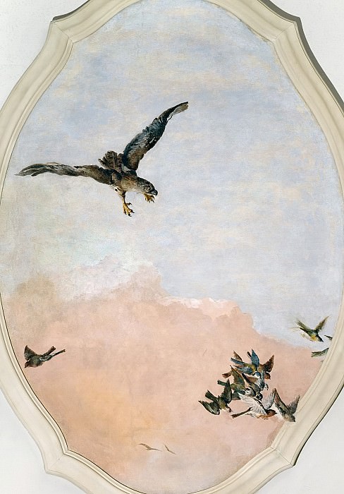 Hawk, Giovanni Battista Tiepolo