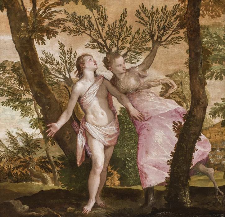 Apollo and Daphne, Veronese (Paolo Cagliari)