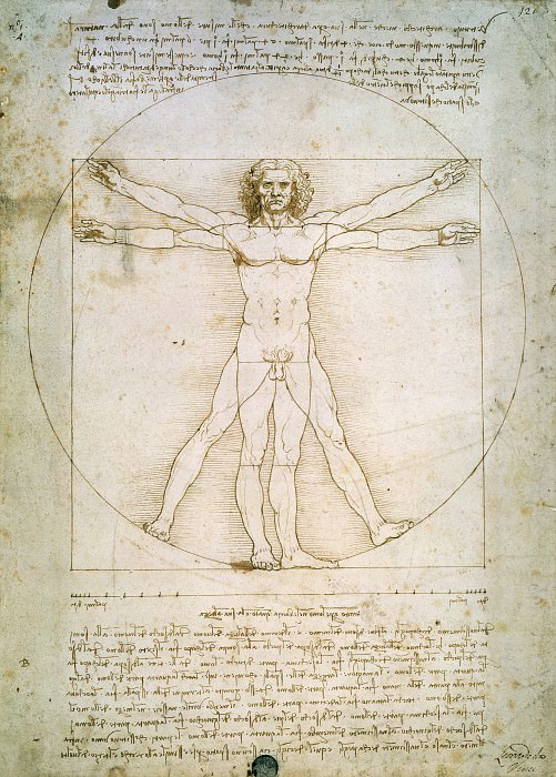 Витрувианский человек, Леонардо да Винчи