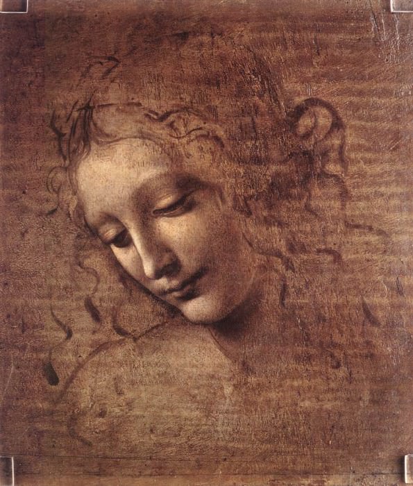 Голова женщины, Леонардо да Винчи