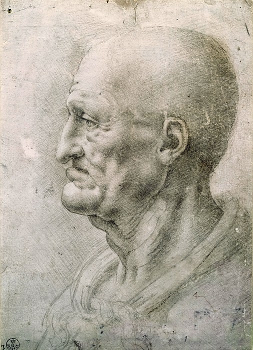 Study of an old man, Leonardo da Vinci