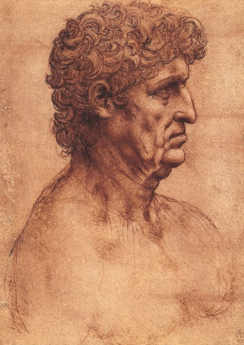 Бюст мужчины в профиль, Леонардо да Винчи