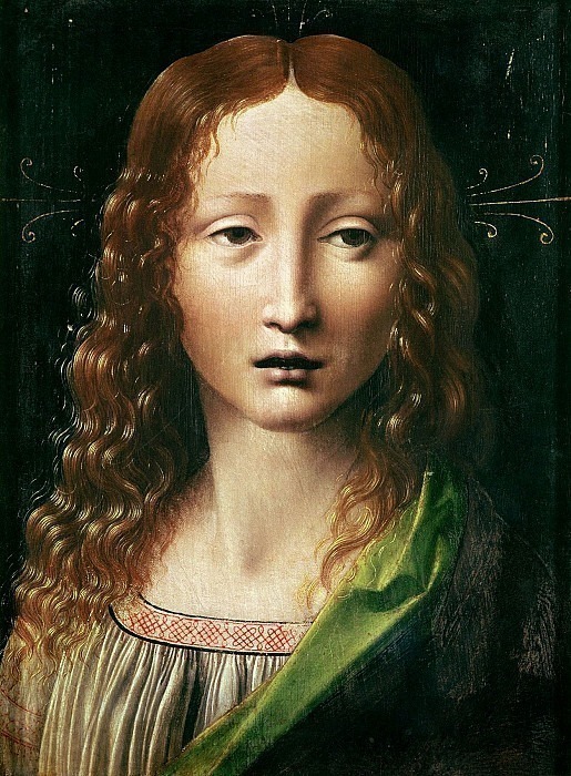 Head Of The Savior, Leonardo da Vinci