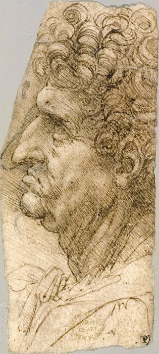Голова мужчины в профиль, Леонардо да Винчи