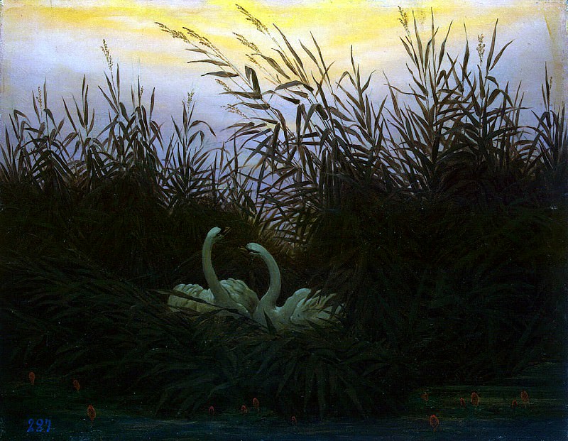 Friedrich, Caspar David. Swans in the reeds, Hermitage ~ part 12
