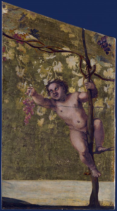 Annibale Carracci – Putto gathering Grapes, Part 1 National Gallery UK