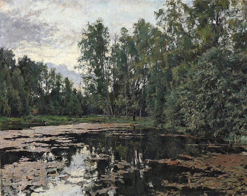 Overgrown pond. Domotkanovo