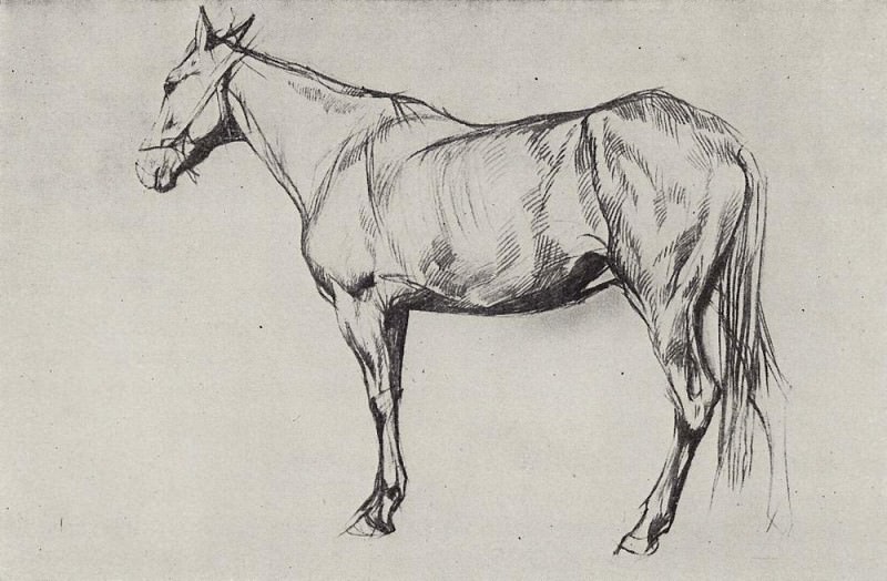 Horse. 1884, Valentin Serov