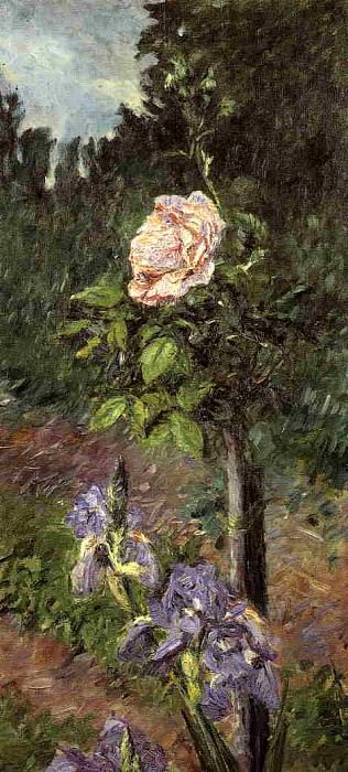 Роза с пурпурным ирисом, сад в Пти-Женвилье, Гюстав Кайботт