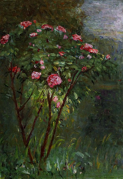 Rose Bush in Flower, Gustave Caillebotte
