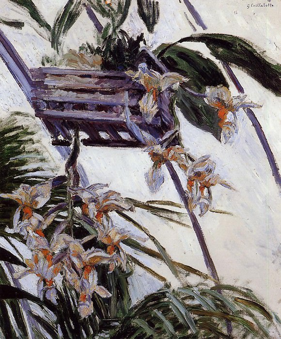 Orchids, Gustave Caillebotte