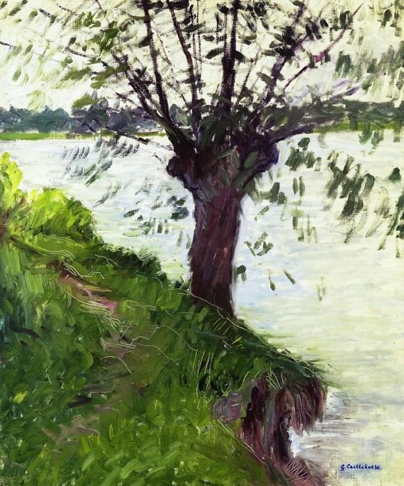 Willow on the Banks of the Seine, Gustave Caillebotte