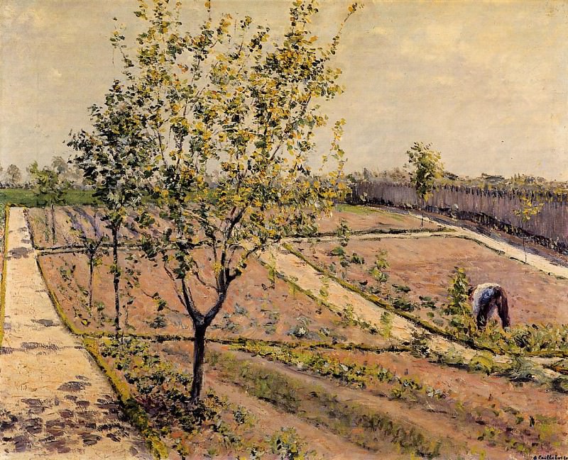 Kitchen Garden, Petit Gennevilliers, Gustave Caillebotte