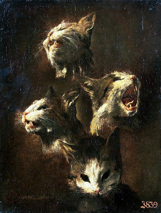Snyders, Frans. Sketches of the head cat, Hermitage ~ part 11