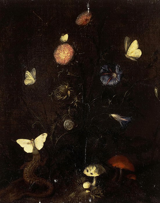 Streep, Christian Jans van. Flowers, lizards and butterflies, Hermitage ~ part 11