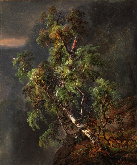 Johan Christian Dahl – Birch Tree in a Storm, Metropolitan Museum: part 3