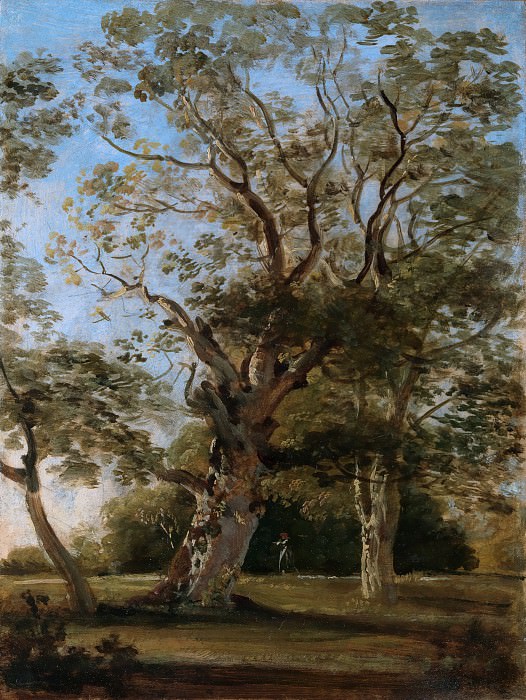 Johann Georg von Dillis – Beech Trees in the English Garden, Munich, Metropolitan Museum: part 3