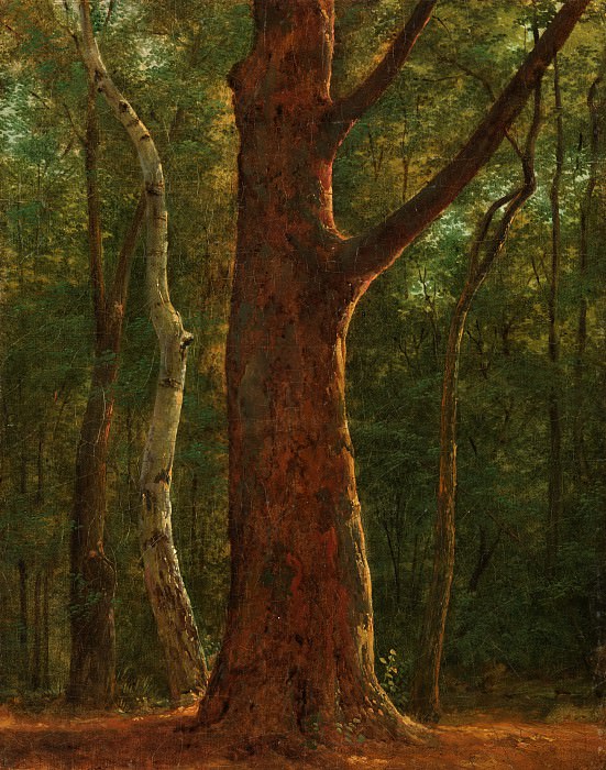 Achille-Etna Michallon – Beech Tree, Metropolitan Museum: part 3