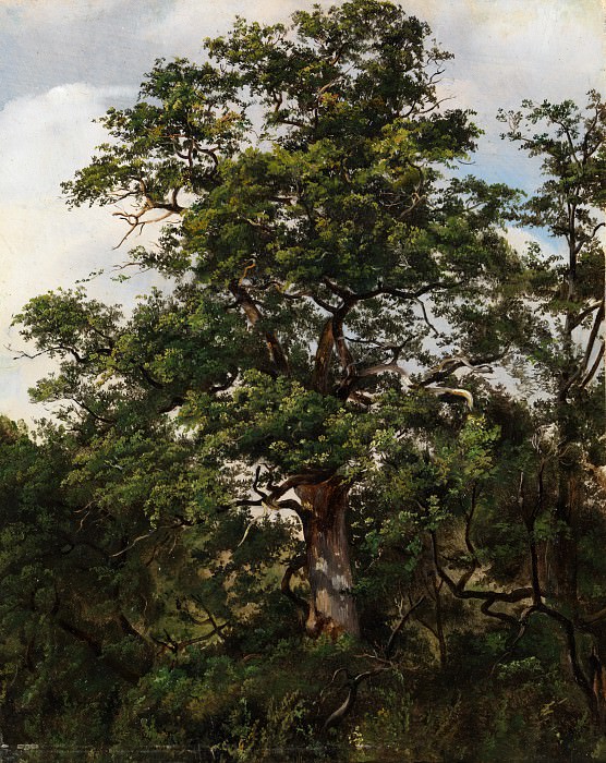 Wolfgang-Adam Töpffer – Oak Tree, Metropolitan Museum: part 3